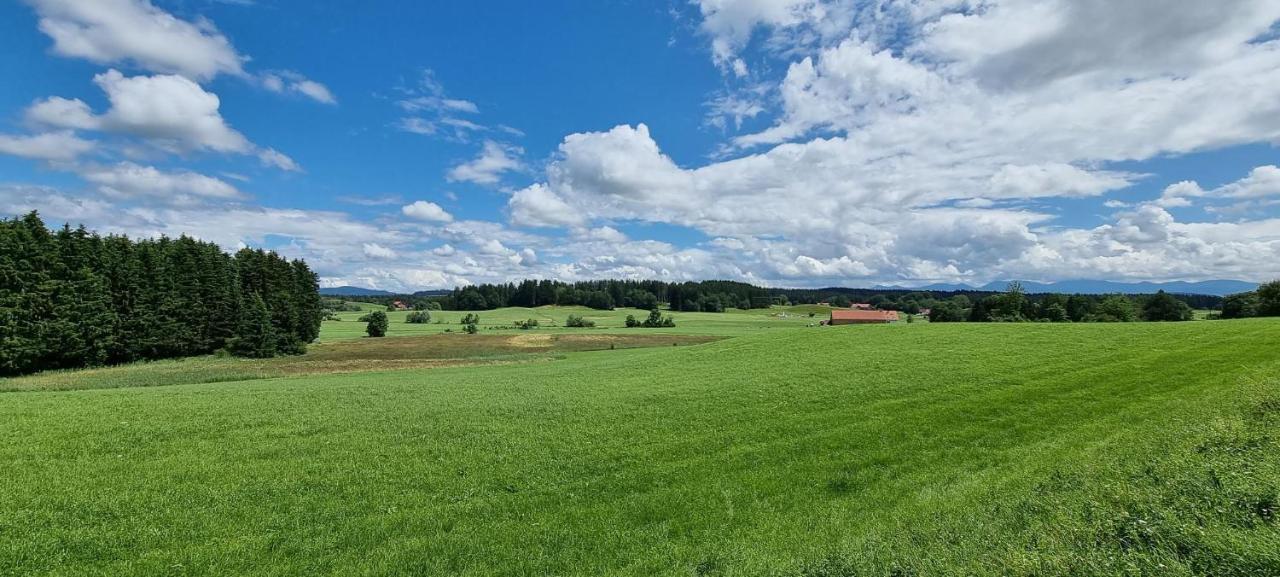 Butterei Appartement Argenbuhl